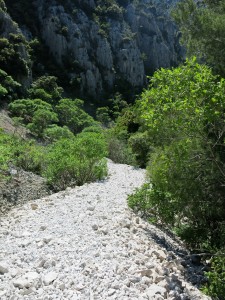 Chemin pour la calanque d'En-Vau